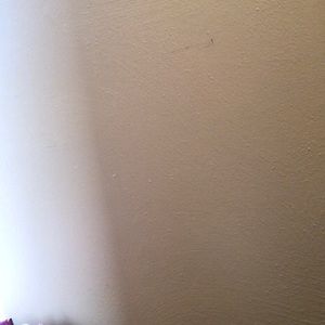 Meet your Posher, Devon